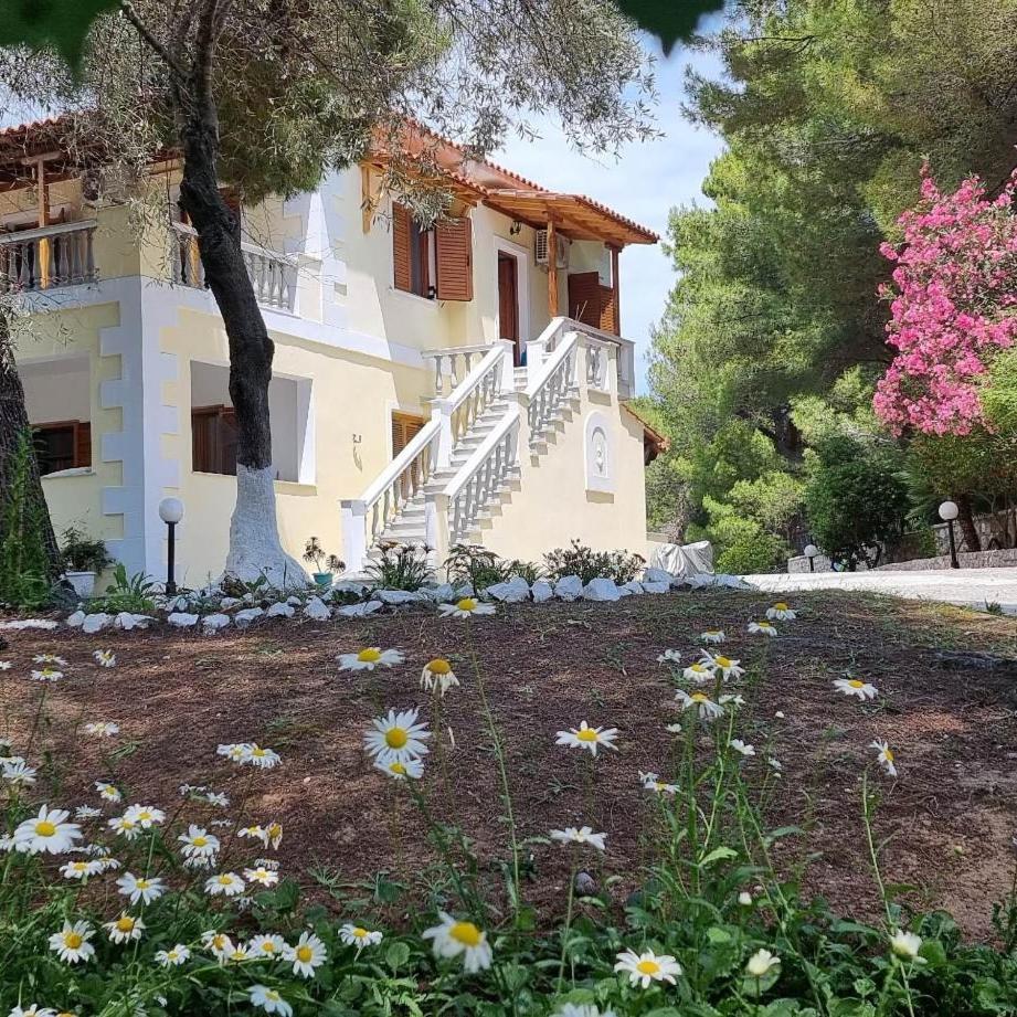 Pine Tree House Apartment Troulos Exterior foto